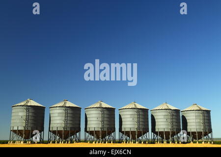 Six silos à grains sur Breeza Station - Breeza, NSW, Australie. Cette région fait partie de la région des plaines de Liverpool. Banque D'Images