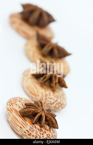 L'anis étoilé affiché dans un style contemporain Jane Ann Butler Photography JABPF028 Banque D'Images