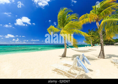 7 mile beach, Grand Cayman Banque D'Images