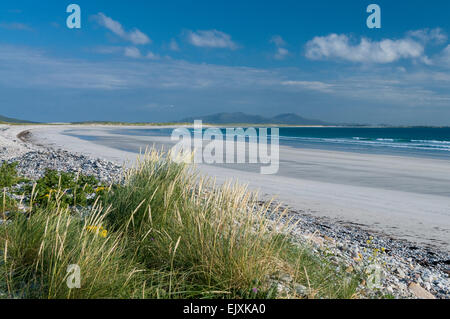 Vue de la plage à North Uist baleshare avec des fleurs sauvages et des dunes Banque D'Images