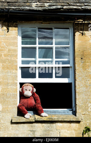 Singe dans une fenêtre dans la région des Cotswolds. L'Angleterre Banque D'Images