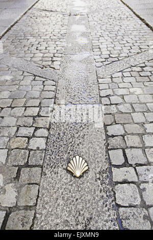 Coquille Saint-Jacques sur le sol, pour les pèlerins du signal détail à Santiago Banque D'Images