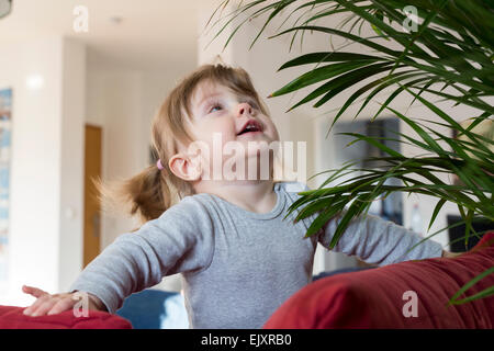 Petite fille jouant avec houseplant Banque D'Images