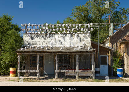 Longhorn Saloon, Scenic, Dakota du Sud, USA. Banque D'Images