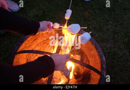 Enfants toasting marshmallows sur un feu de camp Banque D'Images