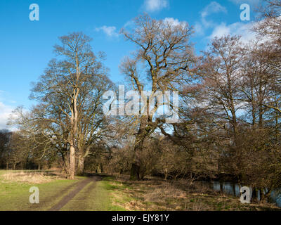 La Derwent à Darley Abbey Park, Derby, England, UK Banque D'Images