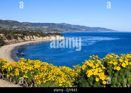 Fleurs sauvages à préserver l'état de point Dume à Malibu Banque D'Images