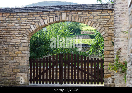 Une grande arche de pierre menant à vignobles en terrasses sur les collines au-dessus de Santenay, Bourgogne, Côte-d'or, France, Banque D'Images