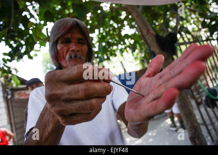 Manille, Philippines. Apr 02, 2015. Wilfredo Salvador, 58 montre où l'ongle va percer sa main sur sa crucifixion le vendredi saint à Barangay San Juan le Jeudi Saint. Chaque année pendant la Semaine Sainte, des centaines de pénitents accomplir des actes de pénitence comme l'auto-flagellation, marche pieds nus, portant une croix et l'auto-crucifixion partout aux Philippines, à majorité d'un pays catholique. © Mark Cristino/Pacific Press/Alamy Live News Banque D'Images