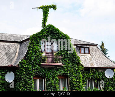 Vieux bâtiment couvert d'accrochant plante Banque D'Images