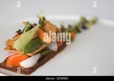 Tartelette de légumes, confiture de tomate et poulet croustillant servi sur une plaque blanche. Banque D'Images