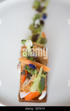 Tartelette de légumes, confiture de tomate et poulet croustillant servi sur une plaque blanche. Banque D'Images