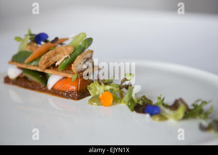 Tartelette de légumes, confiture de tomate et poulet croustillant servi sur une plaque blanche. Banque D'Images