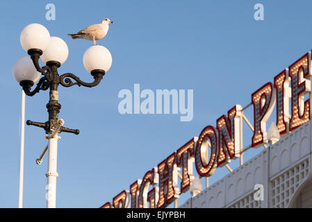 Regarde d'oiseaux de mer sur l'un des aliments du Brighton Pier, pieds de lampe, de la jetée de Brighton signer dans l'arrière-plan Banque D'Images