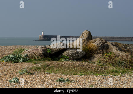 Plage du béton à marées moulin et de la jetée à Newhaven Banque D'Images