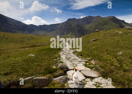 Une marchette et chien sur le sentier menant au MCG Idwal menant à Llyn Idwal dans le Parc National de Snowdonia, Pays de Galles Banque D'Images