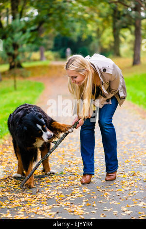 Femme et chien à récupérer jeu du bâton à l'automne parc sur chemin de terre Banque D'Images