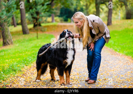 Femme et chien à récupérer jeu du bâton à l'automne parc sur chemin de terre Banque D'Images