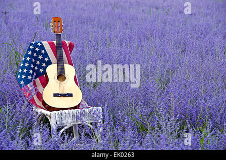 Guitare et drapeau américain sur wicker chair dans le champ de fleurs violettes. Banque D'Images