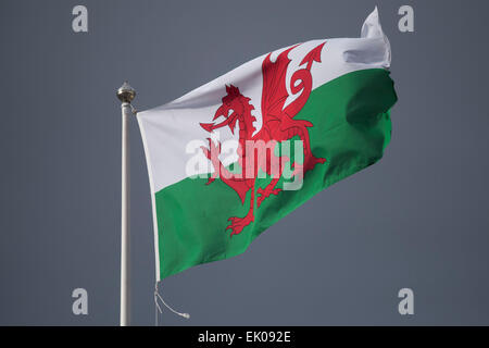 Un drapeau gallois contre un ciel sombre, moody à Cardiff au Pays de Galles. Banque D'Images