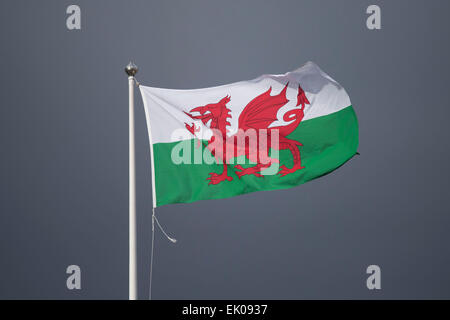 Un drapeau gallois contre un ciel sombre, moody à Cardiff au Pays de Galles. Banque D'Images