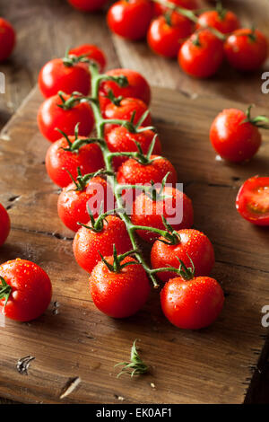 Tomates cerises rouges biologiques crus sur la vigne Banque D'Images
