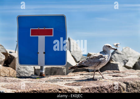 Sea Gull et signe de la circulation sur la mole à Sassnitz (Allemagne) Banque D'Images