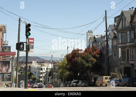 Vue sur le ciel bleu, à l'est de Hyde Street, maisons, voitures, Red Flowering Gum Arbre descendant la pente nord Point, San Francisco, États-Unis Banque D'Images