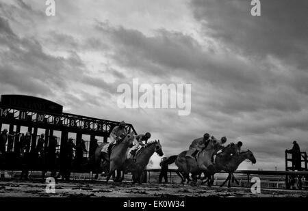 Lexington, Kentucky, USA. 3ème apr 2015. 3 avril 2015:Scènes de autour de la piste le jour de l'ouverture de la rencontre du printemps sur le pâturin piquets Week-end à Keeneland Race Course à Lexington, Kentucky. (Remarque : Cette image a été photographié à l'aide d'un capteur infrarouge converti.) Scott Serio/CSM/Alamy Live News Banque D'Images