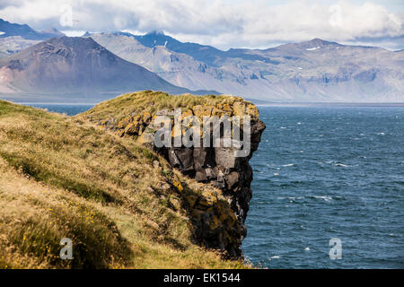 Profil de visage comme sur les falaises de roche de lave volcanique à Arnarstapi sur la péninsule de Snæfellsnes en Islande. Banque D'Images