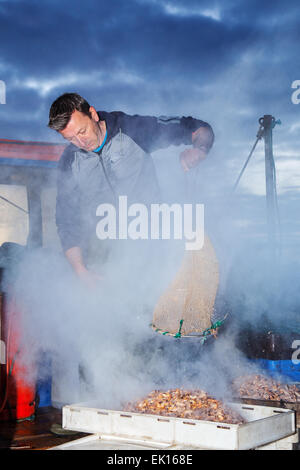 Southport, Merseyside, le 4 avril, 2015. John Rimmer un camion-voile Shrimper crevettes bouillante de ses captures, ils sont ensuite épluchés avant d'être envoyé à l'entreprise et de marché. Southport a toujours eu une histoire de pêche, y compris la pêche de la crevette, qui a été effectuée à Southport et districts voisins pendant des siècles. Références pour il peut être trouvé aussi loin que 1113 pour la pêche dans la paroisse de North Meols. Chariots ou des véhicules mécaniques de chaluts derrière les bateaux ou les tracteurs, connu sous le nom de 'shanking'. Banque D'Images
