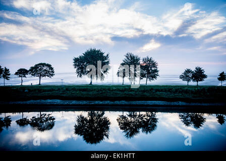arbres sur la digue Banque D'Images