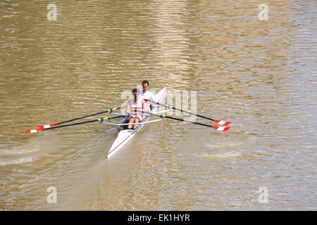 Florence, Italie - 08 mai 2014 : deux athlètes en aviron universitaire de formation sur l'Arno. Banque D'Images