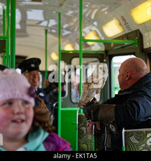 Une effraie des clochers d'un sanctuaire monte un tramway à l'Crich Tramway Village Banque D'Images