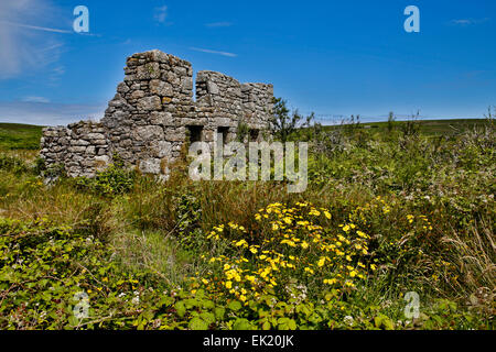 Bostraze Bog ; bâtiment en ruines ; Penwith Cornwall ; UK Banque D'Images