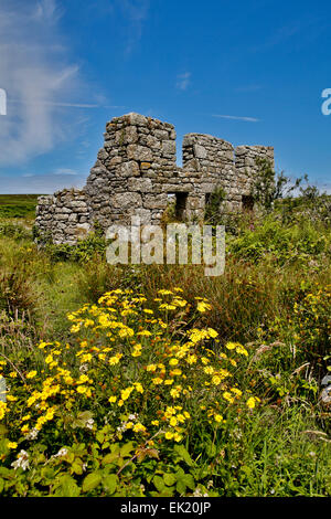 Bostraze Bog ; bâtiment en ruines ; Penwith Cornwall ; UK Banque D'Images