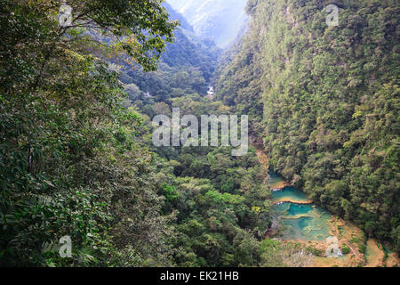 Semuc champay un parc aquatique naturel au Guatemala Banque D'Images