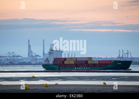 Porte-conteneurs qui arrivent dans l'estuaire de la Seine, entre Le Havre et Honfleur, Calvados, France, Europe Banque D'Images