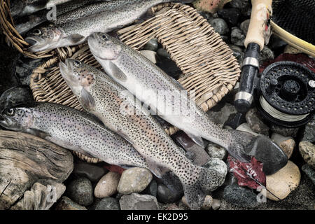 Vintage concept de pêche à la truite s'échappant de creel, avec fly reel, pôle et la fin de l'automne laisse sur les pierres du lit. Banque D'Images