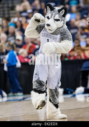 Tampa, FL, USA. 5ème apr 2015. Université du Connecticut, Mascot Jonathan le Husky pendant un délai dans la première moitié lors de la NCAA avec quatre finales du Maryland à Amalie Arena à Tampa en Floride. Credit : csm/Alamy Live News Banque D'Images