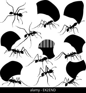 Ensemble de8 EPS vectoriel éditable silhouettes de fourmis coupeuses de feuilles avec tous les fragments de feuilles et les fourmis en tant qu'objets séparés Illustration de Vecteur