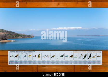 Vue depuis une tour d'observation d'oiseaux au lac Kerkini Grèce Banque D'Images