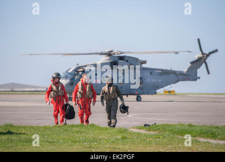 L'Escadron 820 hélicoptères Merlin Mk2 retour de l'effort d'aide de l'Ebola à la Sierra Leone, à RNAS Culdrose Banque D'Images