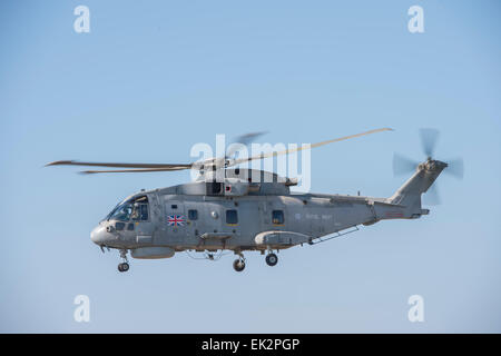 L'Escadron 820 hélicoptères Merlin Mk2 retour de l'effort d'aide de l'Ebola à la Sierra Leone, à RNAS Culdrose Banque D'Images