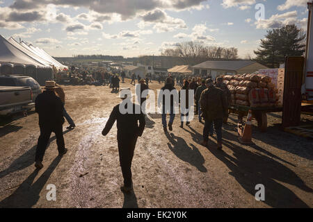 La boue Amish vente, un gigantesque marché aux puces et enchères à Wakefield, Massachusetts, USA Banque D'Images