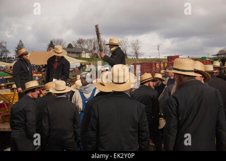 La boue Amish vente, un gigantesque marché aux puces et enchères à Wakefield, Massachusetts, USA Banque D'Images