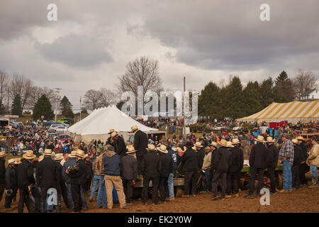 La boue Amish vente, un gigantesque marché aux puces et enchères à Wakefield, Massachusetts, USA Banque D'Images