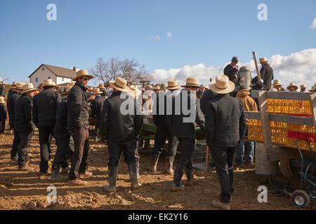 La boue Amish vente, un gigantesque marché aux puces et enchères à Wakefield, Massachusetts, USA Banque D'Images