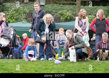 Preston, Lancashire, Royaume-Uni. 06 avril 2015. Les enfants prennent part à la tradition d'Egg rolling in Avenham Park, Preston. La tradition a été autour depuis des centaines d'années et les gens se sont rendus par milliers le lundi de Pâques pour faire le chocolat et les oeufs durs vers le bas des collines de la City-Center park. La tradition des œufs de Pâques rolling a également été adopté par les États-Unis et maintenant il y a un oeuf de Pâques annuelle rolling Événement tenu pour les enfants sur la pelouse de la Maison Blanche. Crédit : Paul Melling/Alamy Live News Banque D'Images