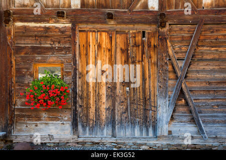 Porte de Grange rustique et de fleurs, Santa Maddelena, Val di Funes, Trentin-Haut-Adige, Italie Banque D'Images